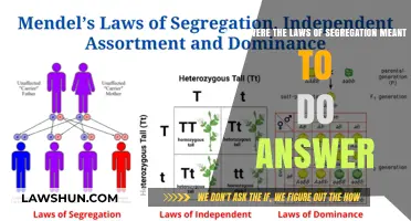 Understanding the Intent: Laws of Segregation and Their Purpose Explained