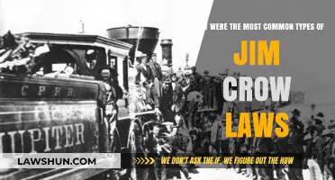 Jim Crow Laws: Understanding Their Common Types