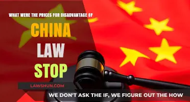 China's Legal Restrictions: Economic Costs and Business Challenges Explored