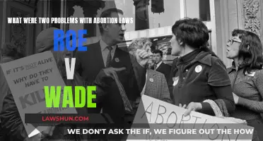 Abortion Laws: Roe v. Wade's Problematic Legacy