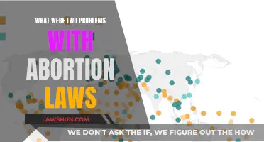 Abortion Laws: Two Critical Issues to Address