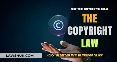 The Consequences of Copyright Infringement: A Legal Guide