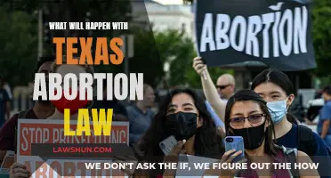 Texas Abortion Law: Future Impact and Implications