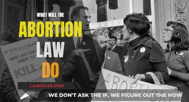 The Abortion Law: Understanding the Impact and Implications