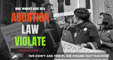 Abortion Laws: Violating Women's Fundamental Rights and Freedoms