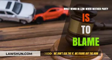 Understanding the Legal Term for No Fault in Disputes