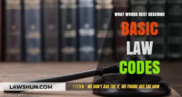 Understanding Basic Law Codes: Key Terms and Essential Descriptors