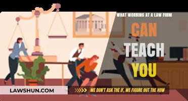Law Firm Lessons: What I Learned Working There