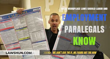 Essential Workplace Laws Every Labor and Employment Paralegal Must Know