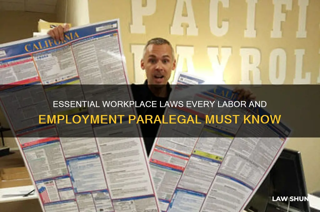 what workplace laws should labor and employment paralegals know