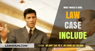 Civil Law Cases: What's Included?