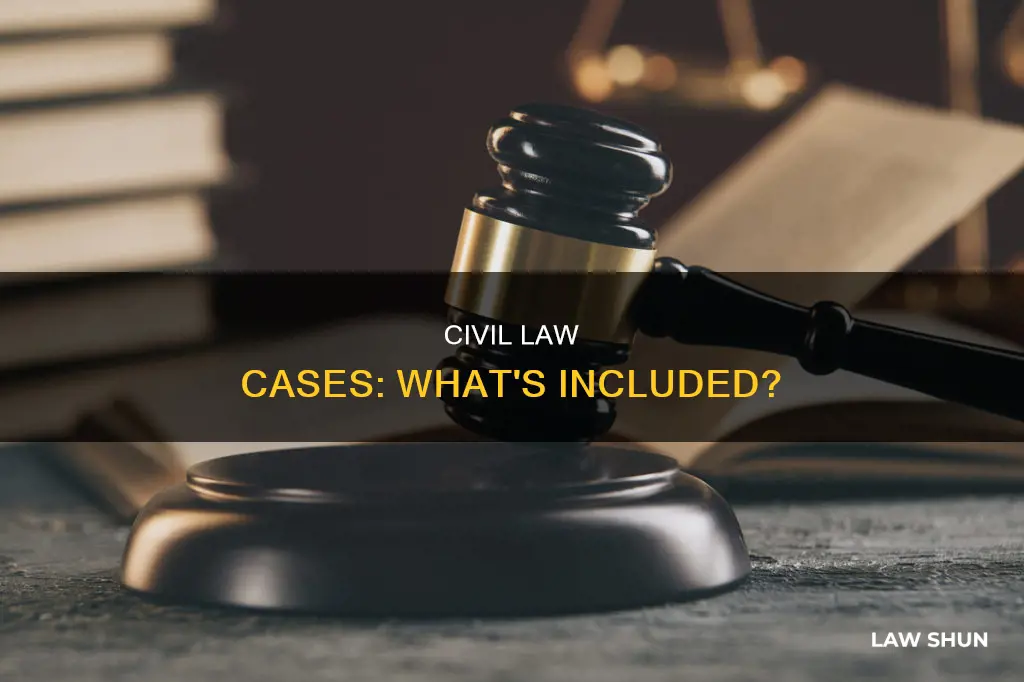 what would a civil law case include
