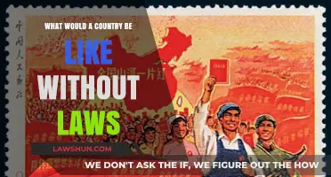 A Lawless Nation: Exploring the Chaos of a Society Without Rules