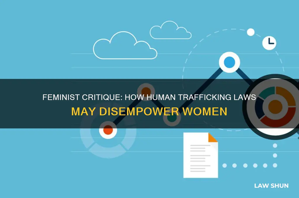 what would be a feminist argument against human trafficking laws