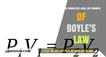 Real-Life Applications of Boyle's Law: Everyday Examples Explained