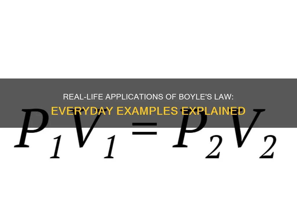 what would be a real life example of boyle