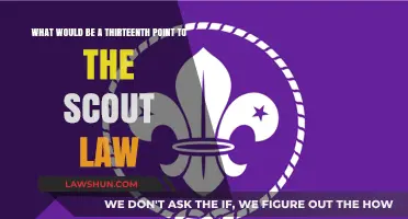 Adding a New Virtue: Exploring a 13th Scout Law Principle