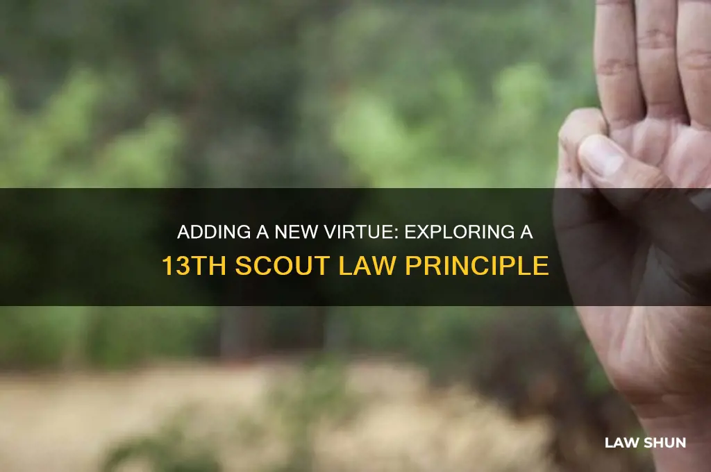 what would be a thirteenth point to the scout law