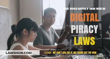 No Digital Piracy Laws: Chaos or Creative Freedom for All?