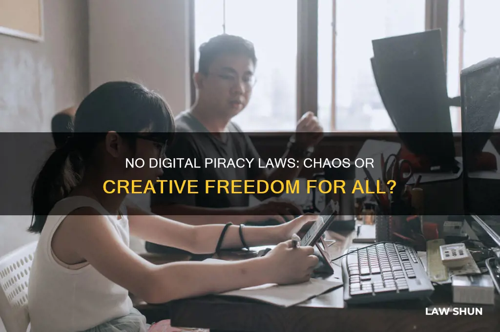 what would happen if there were no digital piracy laws