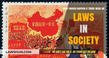 Lawless Society: Chaos, Freedom, or Collapse Without Rules?