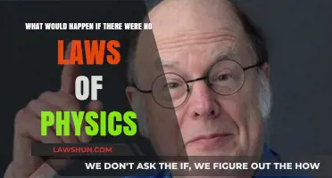 A Universe Without Physics: Chaos, Impossibilities, or Infinite Potential?