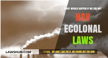 No Environmental Laws: Chaos, Pollution, and a Planet in Peril