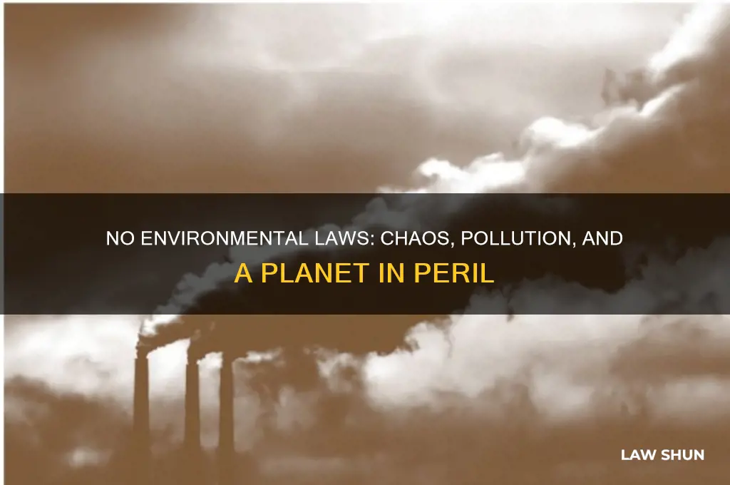 what would happen if we did not hav ecolonal laws
