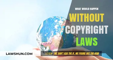 No Copyright: Chaos, Creativity, or Collapse? Exploring a Law-Free World