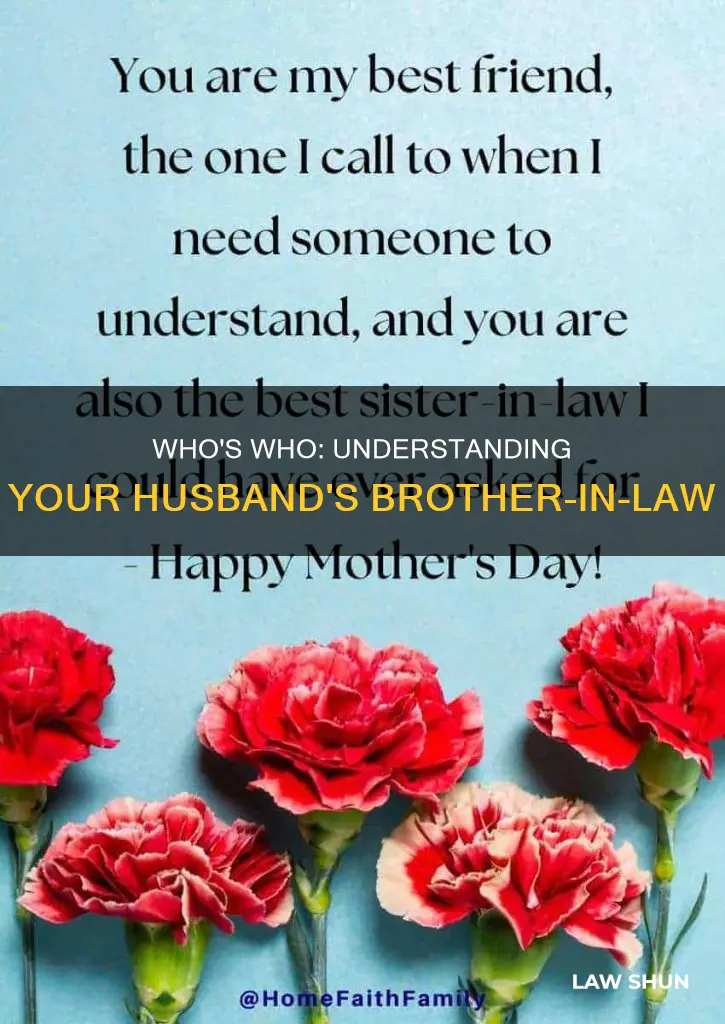 what would my husbands brother on law be to me