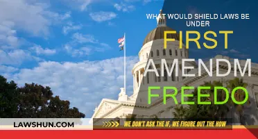 Shield Laws: First Amendment Freedoms and Protections