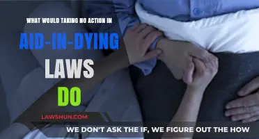 Inaction on Aid-in-Dying Laws: Consequences and Ethical Implications
