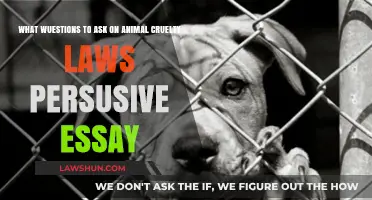 Unveiling Animal Cruelty Laws: Key Questions for a Persuasive Essay