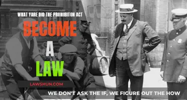 How Prohibition Became Law in the 1920s