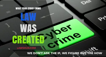 The Evolution of Cyber Crime Law