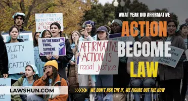 Affirmative Action's Legal History: A Yearly Breakdown