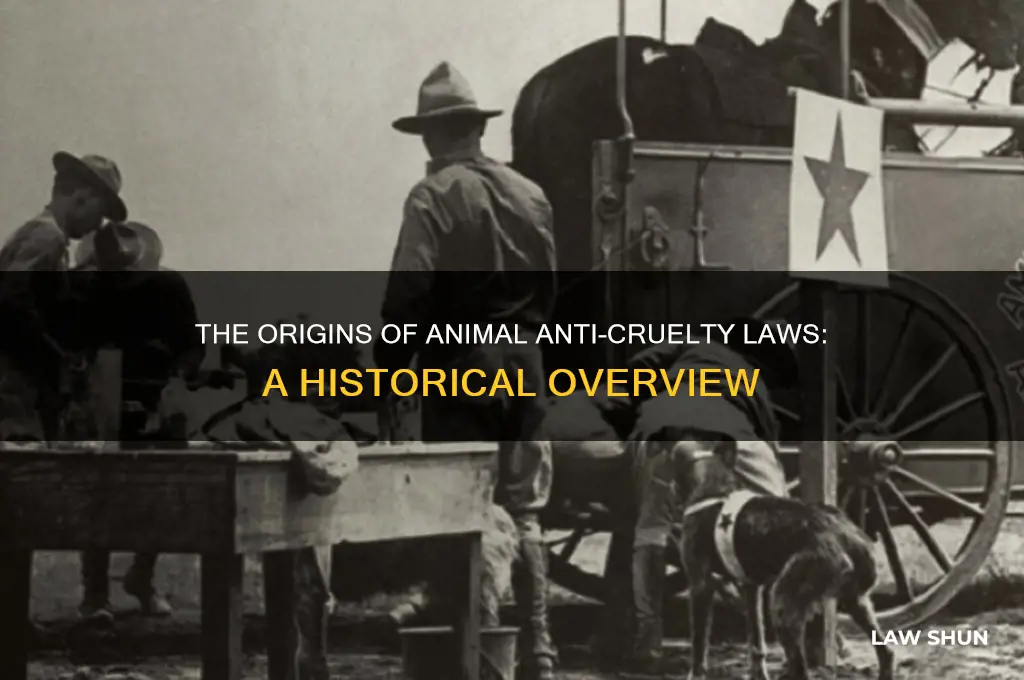 what year did animal anti cruelty laws start