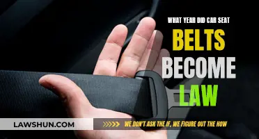 The Evolution of Car Seat Belt Laws