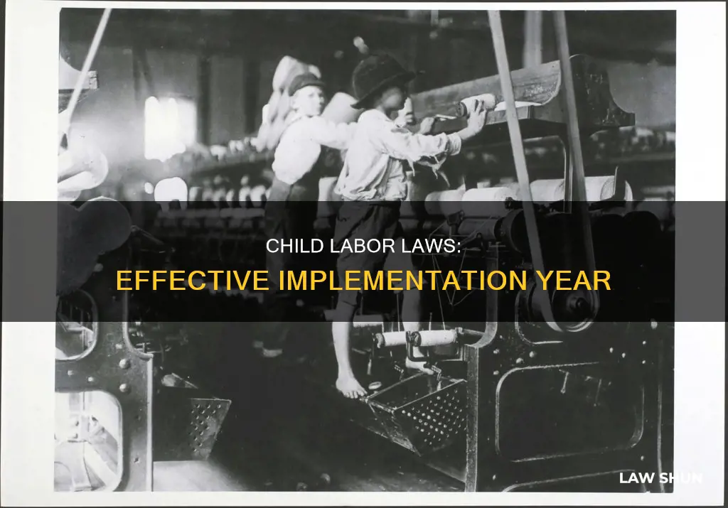 what year did child labor laws become effective