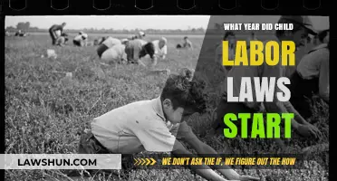 Tracing the Origins of Child Labor Laws: A Historical Overview