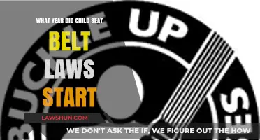 When Did Child Seat Belt Laws Begin? A Historical Overview