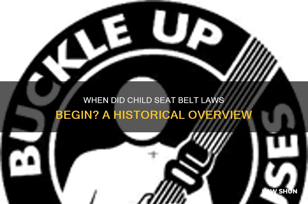 what year did child seat belt laws start