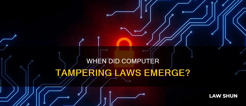 what year did computer tampering laws become apparent