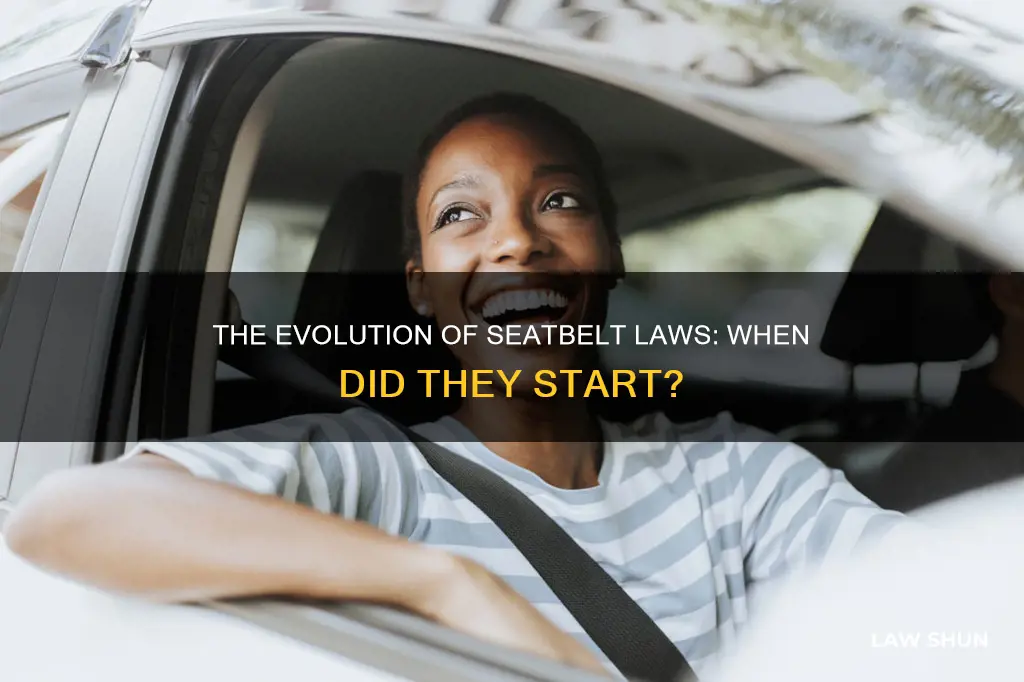 what year did it become law to wear a seatbelt