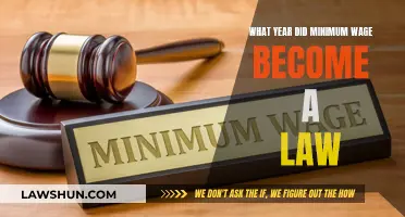 The Evolution of Minimum Wage Laws