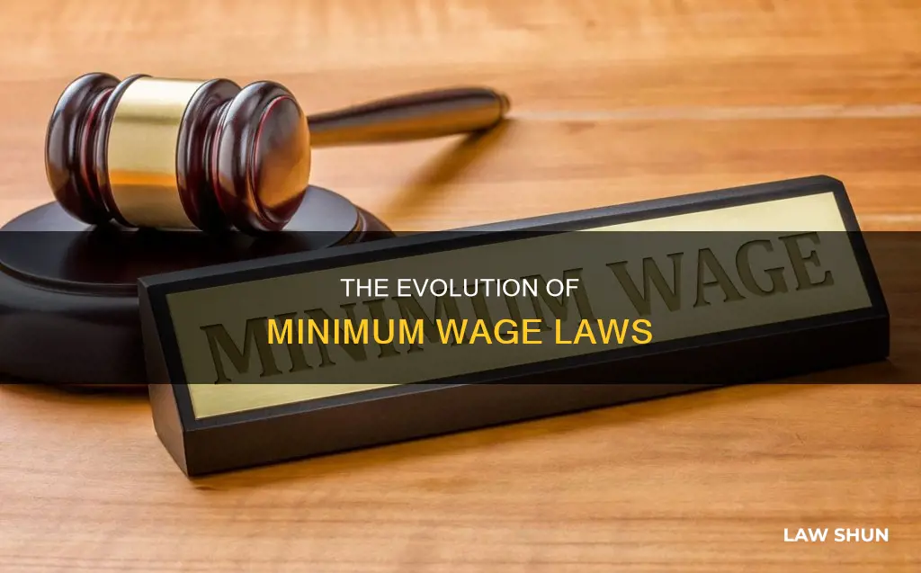 what year did minimum wage become a law