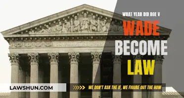 The Landmark Roe v. Wade Ruling: A Historical Perspective