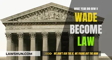 The Landmark Roe v. Wade Ruling: A Historical Perspective