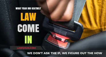 When Did Seatbelt Laws Begin? A Historical Overview