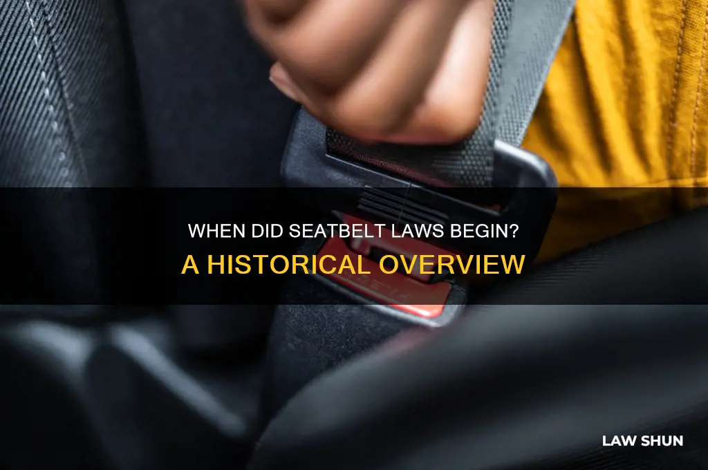 what year did seatbelt law come in